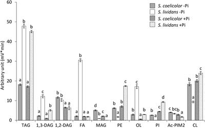 Impact of Phosphate Availability on Membrane Lipid Content of the Model Strains, Streptomyces lividans and Streptomyces coelicolor